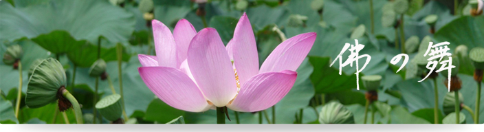佛の舞
